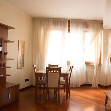 Gatto Romeo Verona