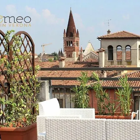 Gatto Romeo Verona